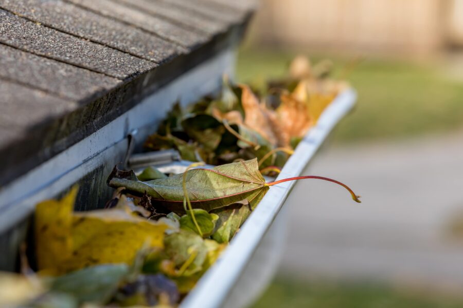 Gutter cleaning services in St. Charles, MO